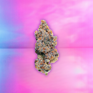 Hybrid Cannabis Bud