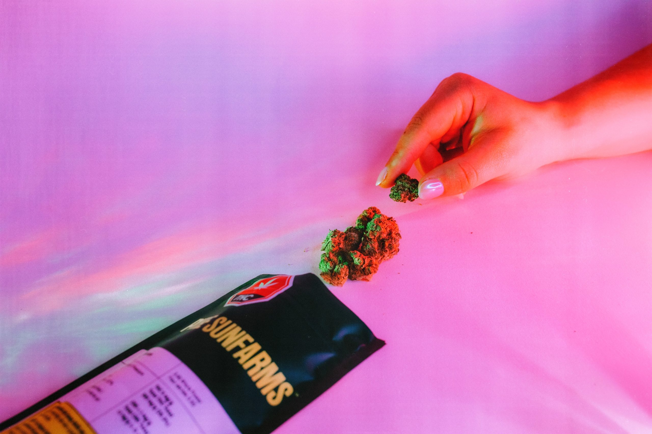 Sativa Vs. Indica Vs. Hybrid Cannabis Beginners Guide to Choosing